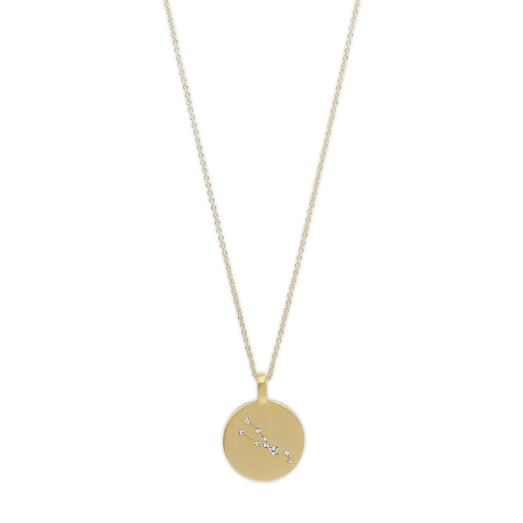 Taurus Zodiac Coin Necklace