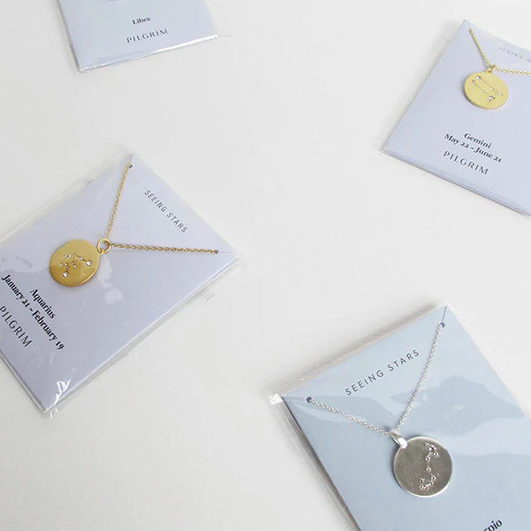 Taurus Zodiac Coin Necklace