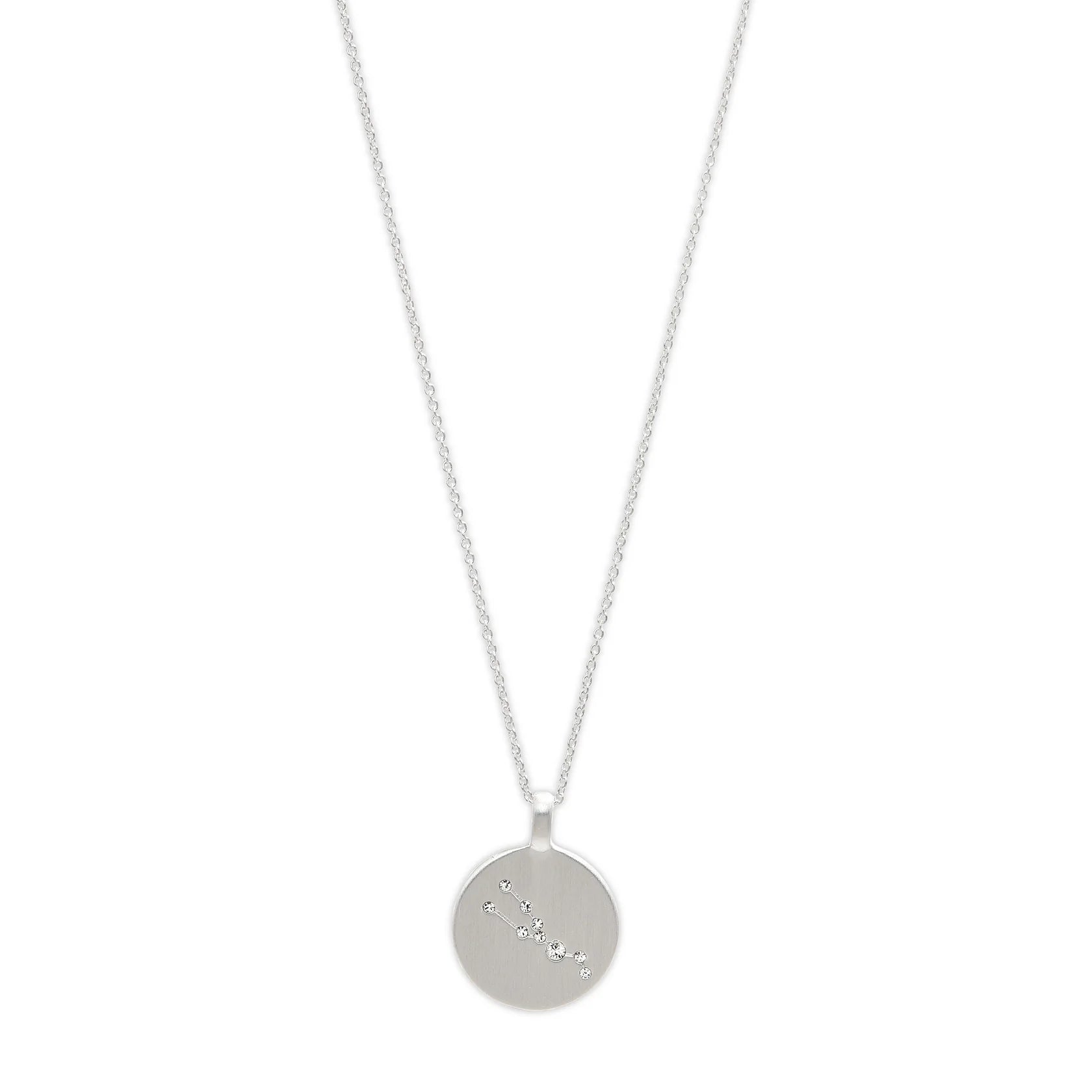 Taurus Zodiac Coin Necklace