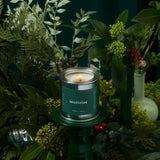 Mistletoe | Holly + Pine + Spiced Berries (Classic)